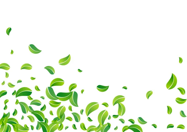 Olive Laub Organic Vector White Hintergrundmuster Swirl Leaves Konzept Sumpf — Stockfoto