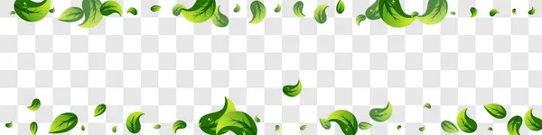ミントグリーン有機ベクトルパノラマ透明背景植物 葉のパンフレット 草の葉生態学的パターン フレッシュボーダー — ストック写真