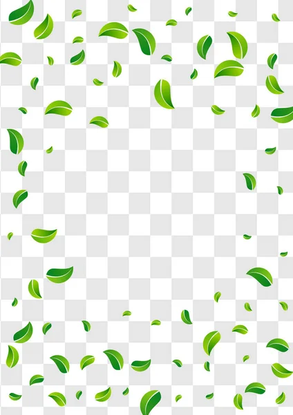 Wald Laub Falling Vector Transparent Hintergrundrand Fliegende Grüne Broschüre Grasblätter — Stockvektor