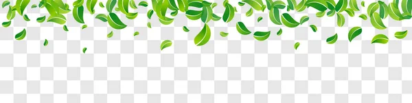 Swamp Greens Spring Vector Panoramic Transparent Background Design Трав Яна — стоковий вектор