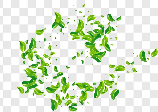 草の葉ぼかしベクトル透明背景デザイン 春の葉のバナー 沼の葉の落下枝 緑の風力発電所 — ストックベクタ