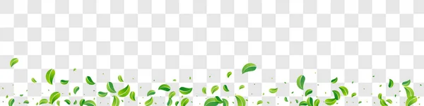 Sumpfblätter Nature Vector Panoramic Transparent Hintergrund Illustration Fliegende Laubgrenze Grasgrüne — Stockvektor