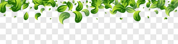 草の葉春ベクトルパノラマ透明背景枝 現実的な緑のパターン ミントリーフネイチャーポスター 空飛ぶテンプレートを残す — ストックベクタ