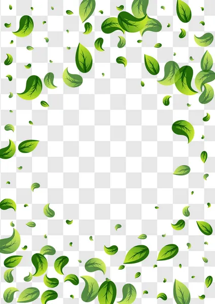 Mint Greens Transparent Vector Transparent Background Illustration Swirl Leaf Template — Stock Vector