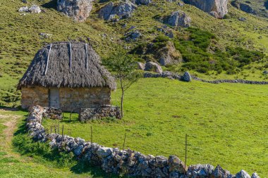 Somiedo, Asturias 'ın Valle de Lago kasabasında, süpürge çatılı geleneksel bir kulübe.. 