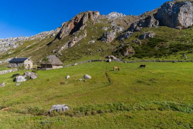 Somiedo, Asturias 'ın Valle de Lago kasabasında sonbahar manzarası. İspanya 
