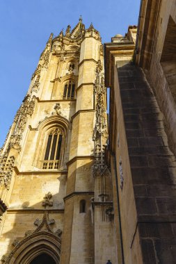 İspanya 'nın Asturias kentindeki Oviedo, Uvieu Katedrali manzarası 