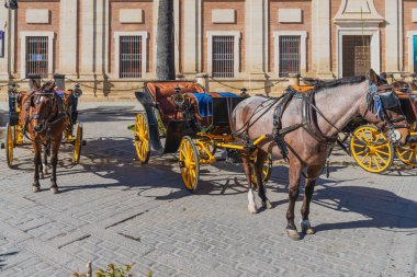 Seville, İspanya, 6 Mart 2022. İspanya 'nın Sevilla şehrinin merkez caddesinde tipik vagonlar