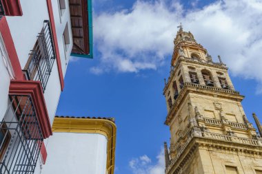 İspanya, Endülüs 'teki Cordoba Camii Katedrali manzarası