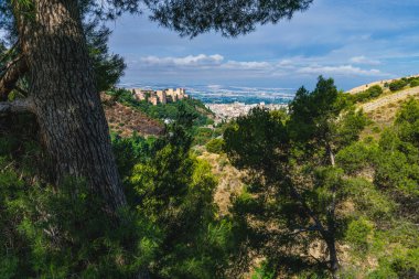 View of the Alhambra and Granada from the Sacromonte neighborhood.