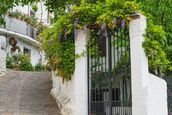 Pampaneira, Granada, İspanya, 17 Haziran 2021. Granada şehri Pampaneira, Endülüs, İspanya.