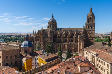 İspanya 'nın Salamanca şehrinin katedrali. Yüksek kalite fotoğraf