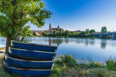 İspanya 'nın Salamanca şehrinin Rio Tormes ve Katedrali. Yüksek kalite fotoğraf