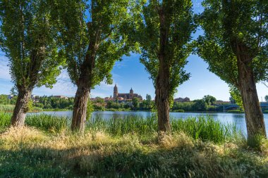 İspanya 'nın Salamanca şehrinin Rio Tormes ve Katedrali. Yüksek kalite fotoğraf
