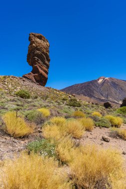 Los Roques de Garcia ve Teide Dağı Teide Ulusal Parkı, Tenerife, Kanarya Adaları. Yüksek kalite fotoğraf