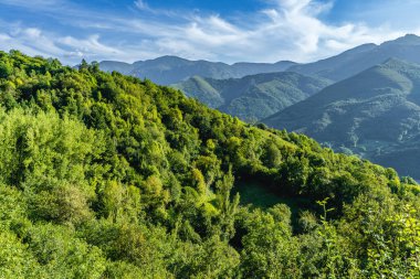 Forest and mountains in Teberga, Teverga, Ubinas La Mesa Natural Park, in Asturias, Spain. High quality photo