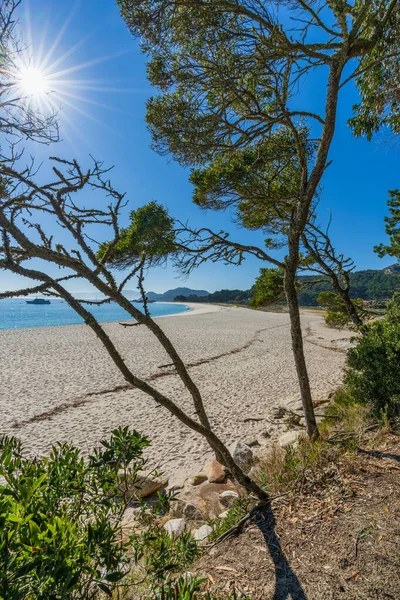 Bela Praia Rodas Parque Nacional Das Ilhas Cies Vigo Galiza — Fotografia de Stock