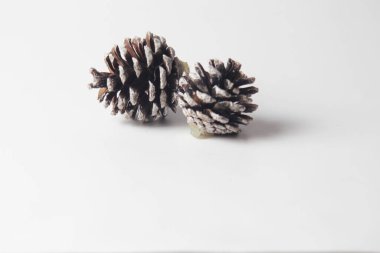 Beyaz bir masada 2 kozalak.