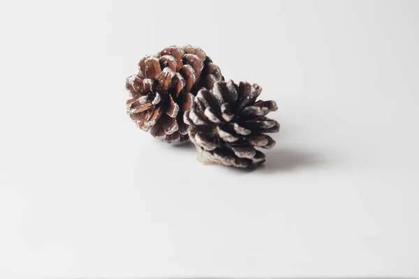 Pine Cones White Table — Stock Photo, Image