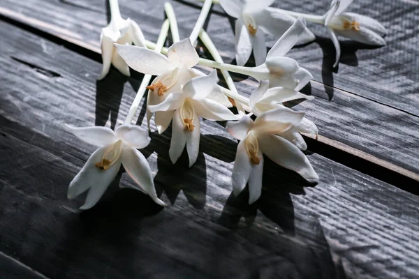 Цветы Millingtonia Hortensis Черном Деревянном Столе Утреннем Солнце — стоковое фото