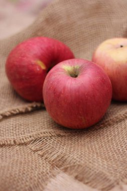 Elma, vücuda yararlı olan C vitamini içeren bir meyve. Çuval bezini giy.