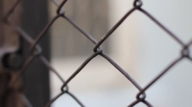 Man's hand holding a black iron net
