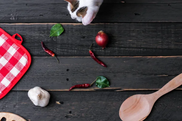 Top view of cats on black cooking table in asia.