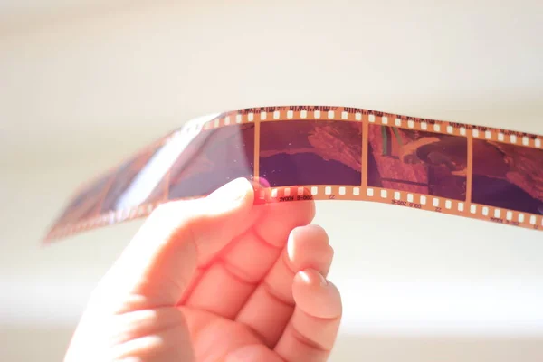 Bir adamın eli 35 mm 'lik bir film tutuyor ve dış ışıkta parlıyor..