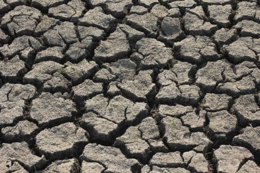 Asya ülkelerinde toprak kuraklık koşulları