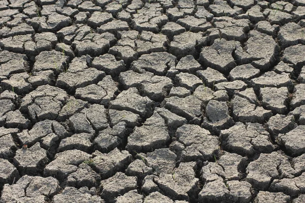 Soil drought conditions in Asian countries