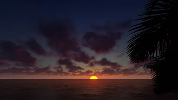 Zonsondergang Aan Zee Met Kokosbladeren Voorgrond Achtergrond — Stockfoto