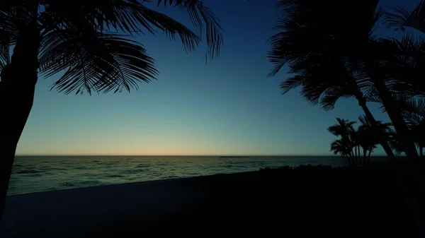 Tramonto Riva Mare Con Foglie Cocco Primo Piano Sfondo — Foto Stock