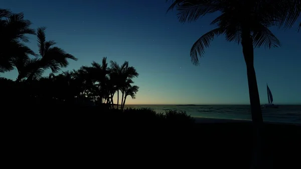Sonnenuntergang Meer Mit Kokosblättern Vordergrund Hintergrund — Stockfoto