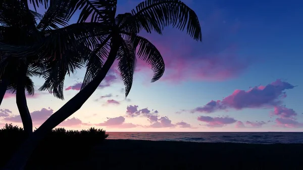 Puesta Sol Junto Mar Con Hojas Coco Primer Plano Fondo — Foto de Stock