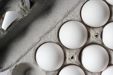 Yumurtalık kutusundaki yumurta beyazı protein gıdasıdır..