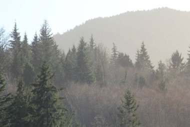 Dağların silueti sabah karmaşık turuncu renkte.