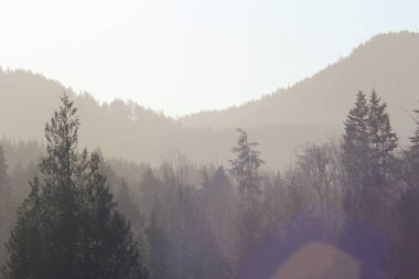 Akşamları dağlar ve çam ağaçları kesişiyor, güneş ışığı ve mercekli dağlar..