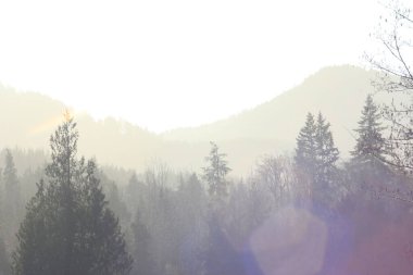 Akşamları dağlar ve çam ağaçları kesişiyor, güneş ışığı ve mercekli dağlar..