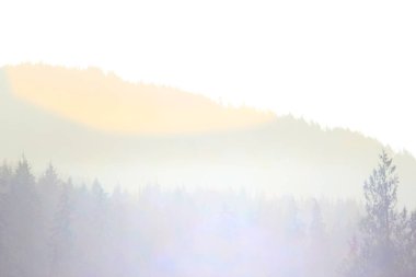 Dağlar ve sabah güneşli çam ağaçları. Dağların üzerinde parlayan güneş ışığı..