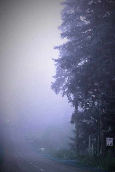 Una Strada Solitaria Mattino Senza Gente Senza Auto Nebbia Densa — Foto Stock