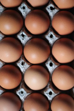 Yumurtalık kutusunda tavuk yumurtası, protein yemeği, sarı-turuncu tavuk yumurtası.