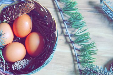 Çam yaprakları, kozalaklar ve açık kahverengi ahşap zemine yerleştirilmiş dallarla dolu bir sepette yumurtalar..