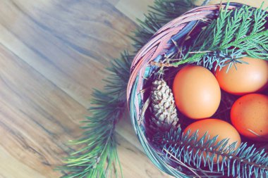 Çam yaprakları, kozalaklar ve açık kahverengi ahşap zemine yerleştirilmiş dallarla dolu bir sepette yumurtalar..
