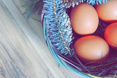 Çam dalları ve modern tonlarda çam kozalakları olan bir sepette paskalya yumurtaları..