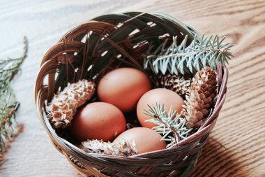 Paskalya yumurtaları sepetin içinde, çam dalları ve kozalaklar ahşap zemine yerleştirilmiş, modern ton..