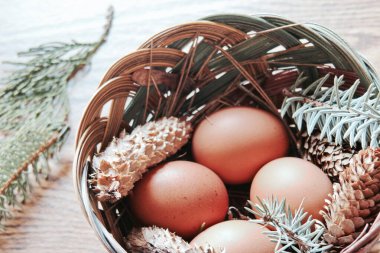 Paskalya yumurtaları sepetin içinde, çam dalları ve kozalaklar ahşap zemine yerleştirilmiş, modern ton..
