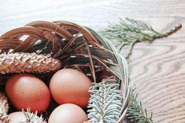 Paskalya yumurtaları sepetin içinde, çam dalları ve kozalaklar ahşap zemine yerleştirilmiş, modern ton..