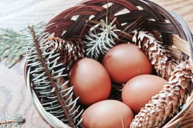 Paskalya yumurtaları sepetin içinde, çam dalları ve kozalaklar ahşap zemine yerleştirilmiş, modern ton..