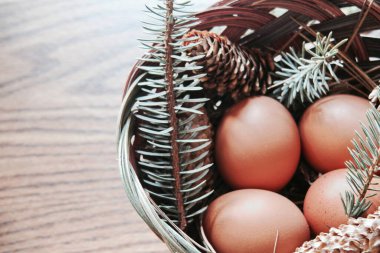 Paskalya yumurtaları sepetin içinde, çam dalları ve kozalaklar ahşap zemine yerleştirilmiş, modern ton..