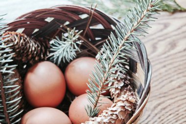 Paskalya yumurtaları sepetin içinde, çam dalları ve kozalaklar ahşap zemine yerleştirilmiş, modern ton..